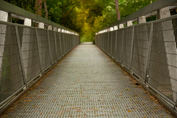 A meatal footpath bridge in the park