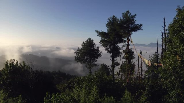 Nepalese prayer flags hang from trees overlooking a breathtaking view of a Himalayan valley.