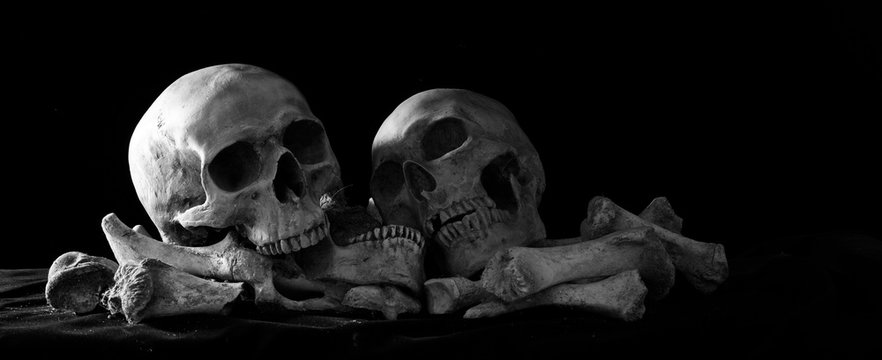 Two Skull on pile of bones put on black cloth  and black background