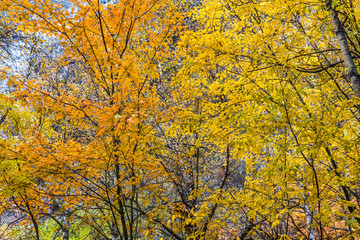 fall in mountain of China