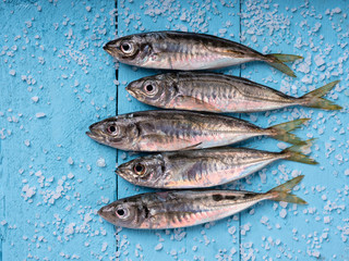 Horse Mackerels on the blue wood background 