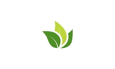 green leaf logo