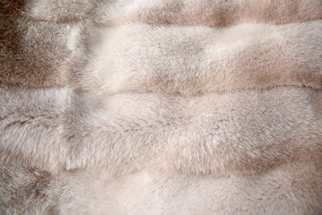 White fur mink background texture