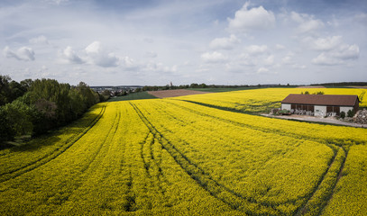 Veitsbronn in Raps