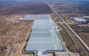 Fototapeta premium row of glass greenhouses for vegetable production. aerial photo