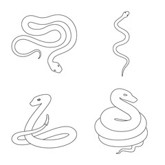 Obraz premium Vector illustration of poison and evil logo. Collection of poison and bite stock symbol for web.