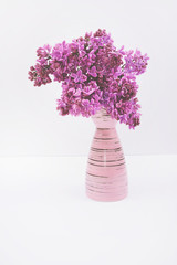 Blooming lilac bouquet in pink vase isolated on white background.