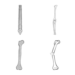 Vector design of medicine and clinic icon. Collection of medicine and medical stock symbol for web.