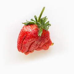 Ugly one ripe organic strawberry isolated on white background.