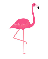 Fototapeta premium Colorful cartoon pink flamingo on one leg stands on white background. Vector Illustration