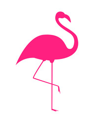 Colorful cartoon pink flamingo on one leg stands on white background. Vector Illustration