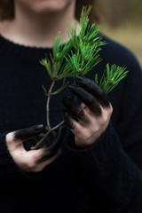 Part of the forest in human hands