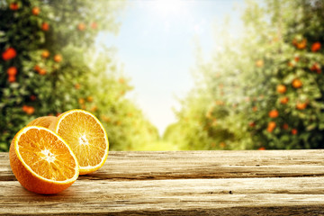 Fresh orange fruits on desk and summer landscape of orange garden with sun light. 