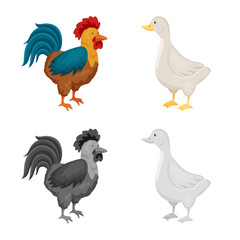 Vector illustration of breeding and kitchen  sign. Collection of breeding and organic  vector icon for stock.