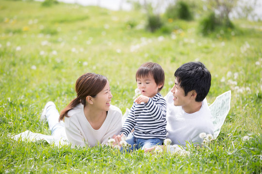 芝生に寝転ぶ若い家族、育児イメージ