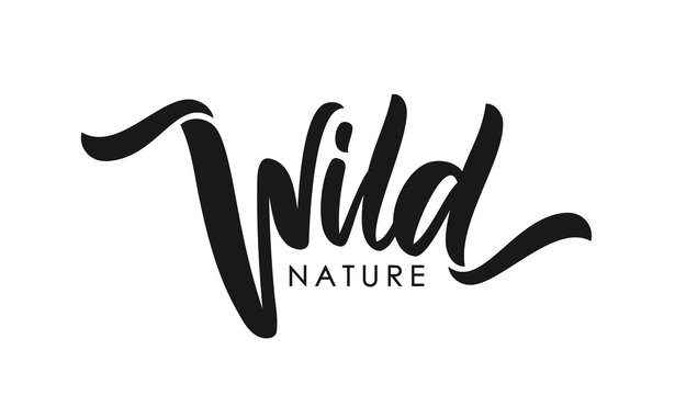 Handwritten type calligraphic lettering of Wild Nature on white background
