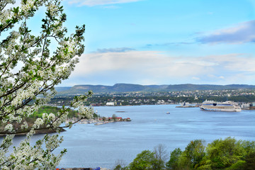 Fototapeta na wymiar widok na Oslo Fiord, Norwegia