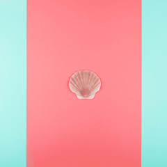 Scallop seashell on coral and mint background