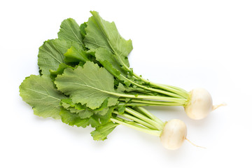 Fresh white round turnip radish on white background.