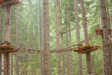 Tree climbing long an equipped route inside a n Italian woods in Dolomites, Italy.