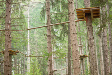 Tree climbing long an equipped route inside a n Italian woods in Dolomites, Italy.