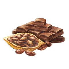 Hand drawn watercolor cocoa chocolate with beans isolated on white background. Realistic food illustration.