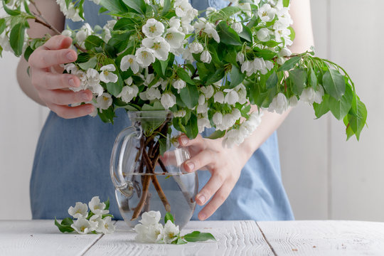 Close-up of woman's hand holding a branch of spring blooming apple tree.Florist concept