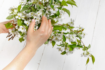 Fototapeta na wymiar Tenderness female hands with spring flowers. Concept of tenderness, skin care, the hands of the girl hold spring flowers