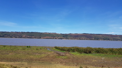 Obraz premium lovely pictures of animals and landscape scenery