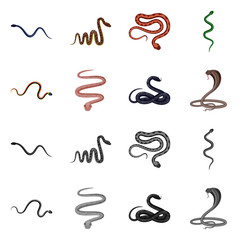 Obraz premium Vector illustration of mammal and danger logo. Set of mammal and medicine stock symbol for web.