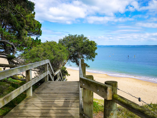 Wooden planks walking path overlooking beautiful sandy beach and blue ocean. View of coastal wood pallet walkway and green trees with people surfing in distance. Phillip Island, VIC Australia.