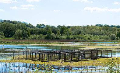 Obraz premium boxes on lake beneath a blue sky
