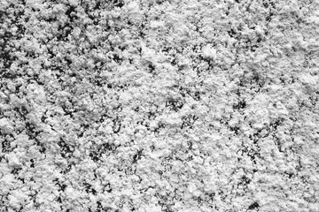 black and white cement wall background