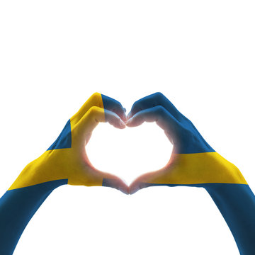 Sweden flag on people heart  shape hands on white background