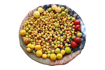 Mixed Wild Fruits, (Pear, Plum, Tangerine, Apple - Fruit, Quince)