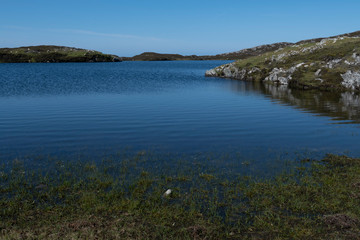 the most wonderful island in Ireland : Inishbofin