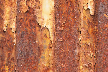 Old zinc wall surface Fence