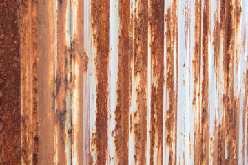 Old zinc wall surface Fence