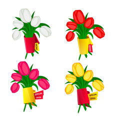 Vector set of spring flowers tulips with banners for text isolated on white background