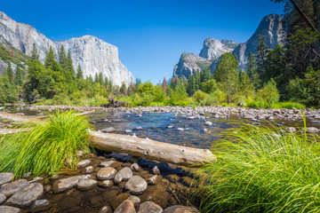 Yosemite National Park in summer, California, USA