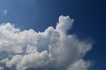 blue sky with beautiful white fluffy clouds