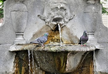 Fototapeta na wymiar Brunnen in Turin