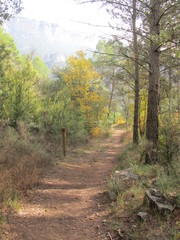 Valle