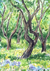 Summer or spring sunny landscape with trees ans flowers. Hand drawn watercolor illustration.