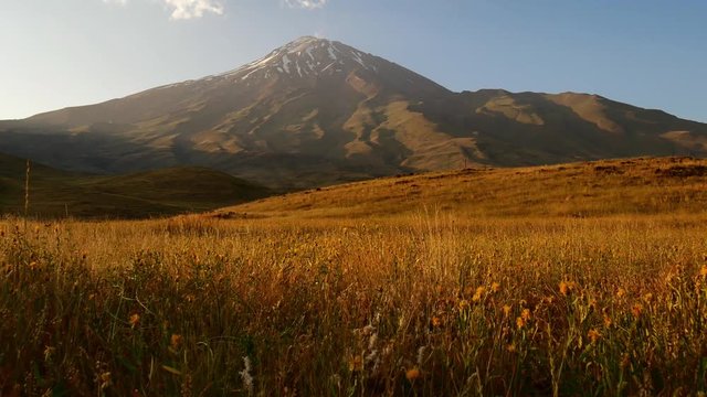 A following shot of Damavand's snowy peak during summer and extended field A 4K following long shot of foothill Damavand's peak direct summer sunlight and plants shaking by wind yellow and blue 