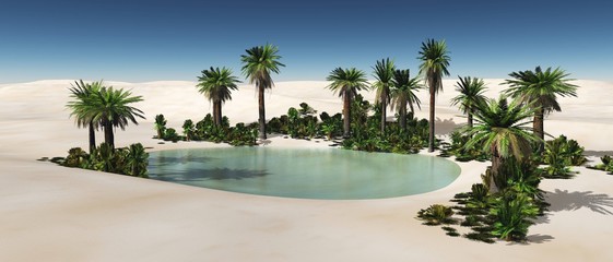 Oasis in the desert of sand, palm trees and a pond in the sands,