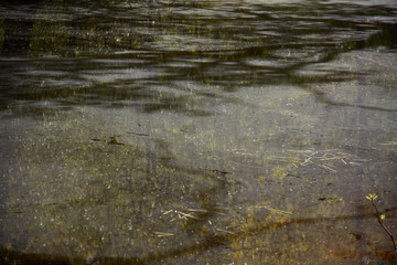 Orgi Forest in Ulzama. Near the town of Lizaso to be able to walk in the nature between centennial oaks