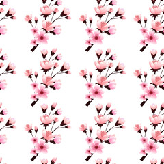 Sakura blossoms, branch, seamless pattern, vector illustration.