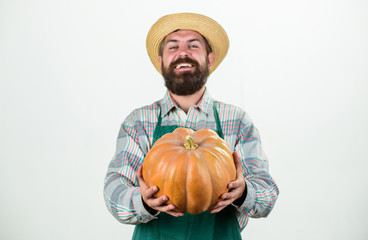 Food photography. useful vegetables. rich autumn crop. seasonal vitamin. organic natural food....