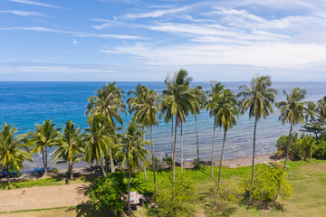 Fototapeta na wymiar Landscape with coconut trees and turquoise lagoon, view from above.Seascape with palm trees and a pebbly beach,Philippines,Camiguin,aerial view.